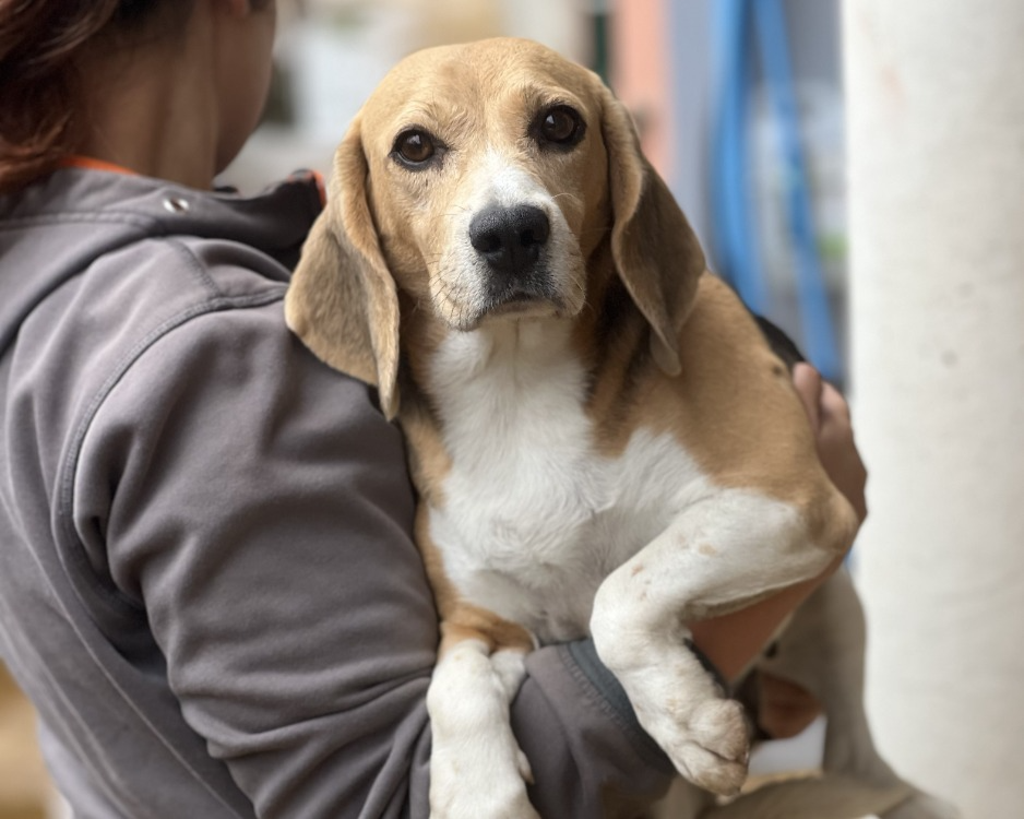 PANAME