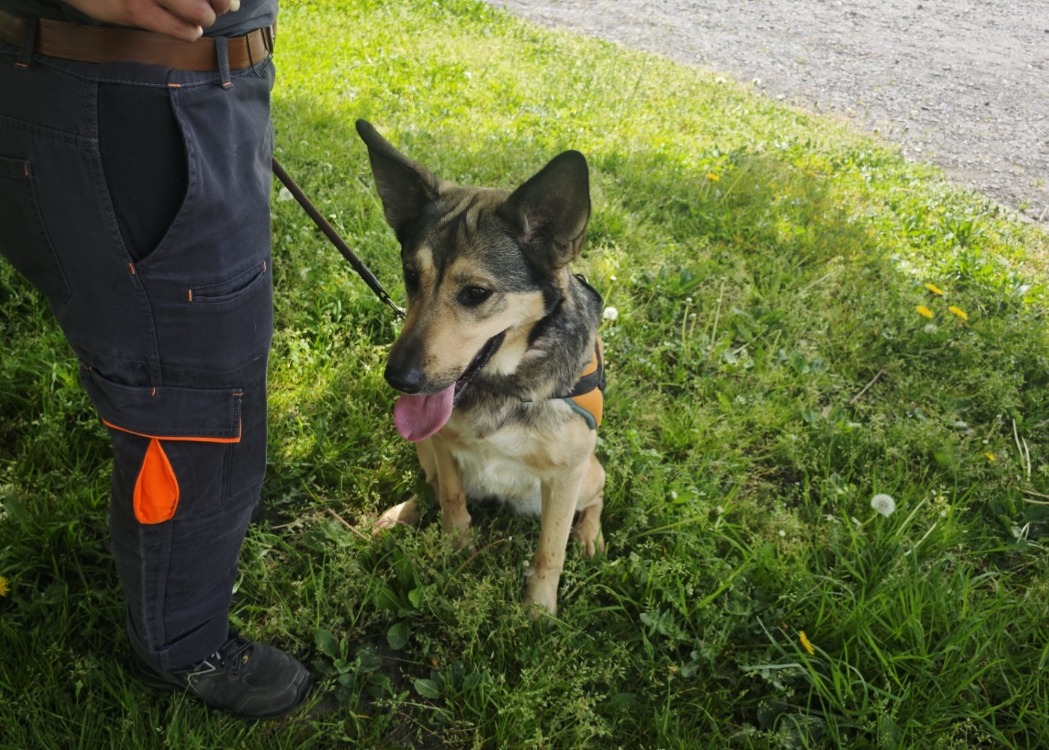 XZENA