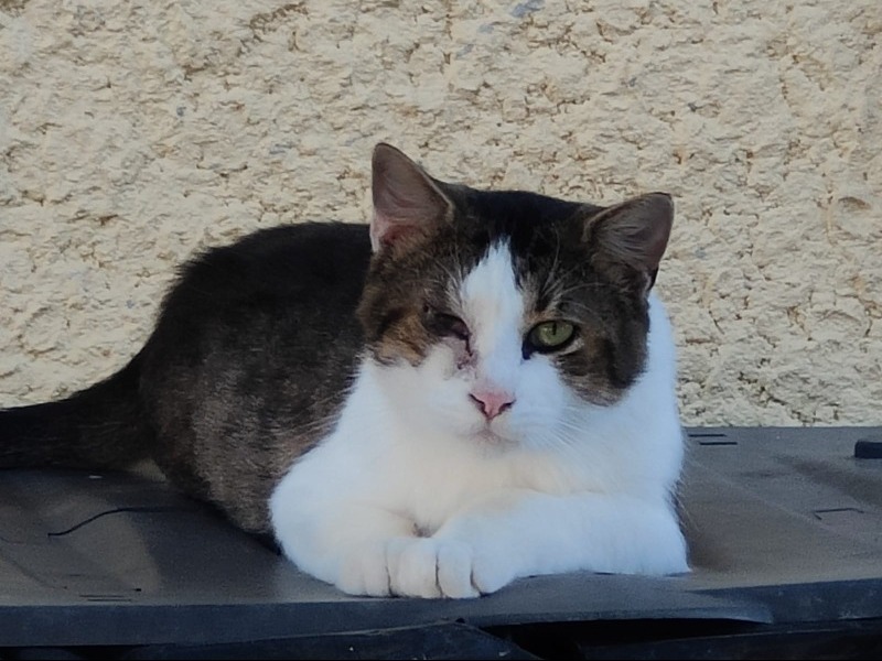 MARLEY