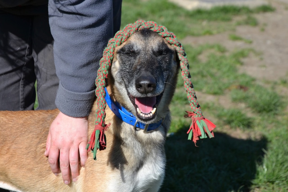 PEPITA