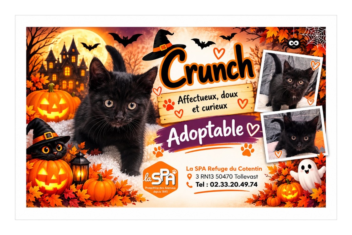 CRUNCH réservé