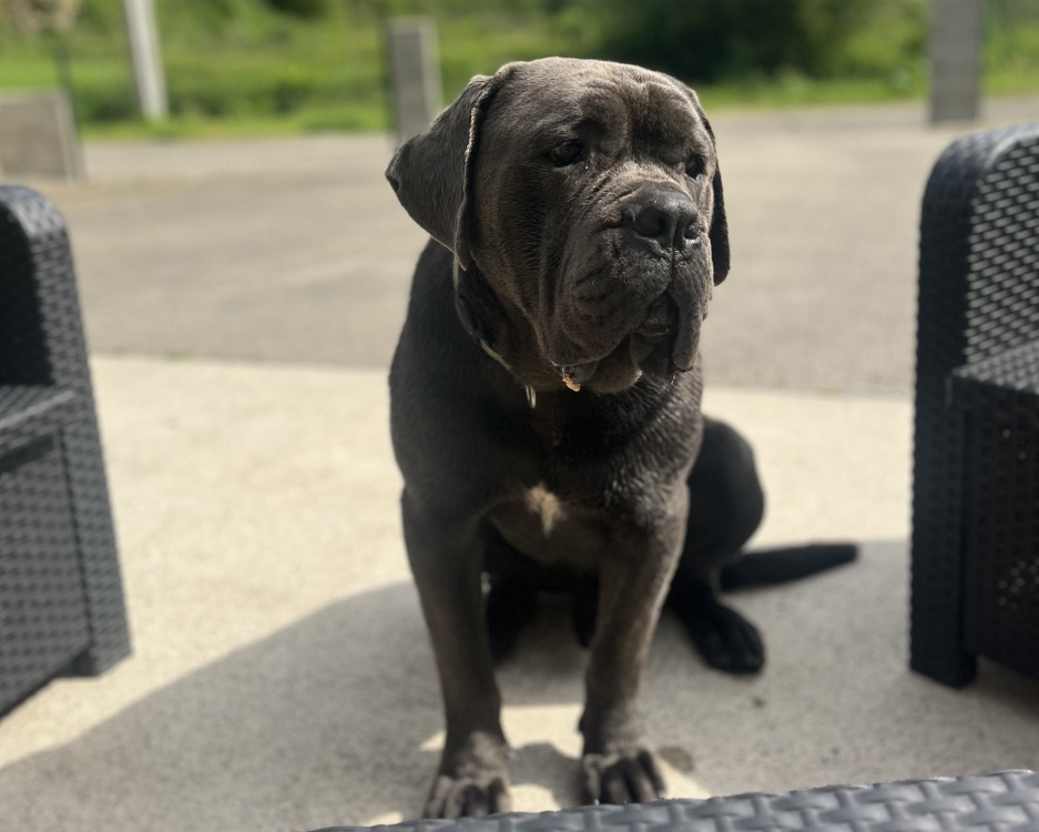URKA