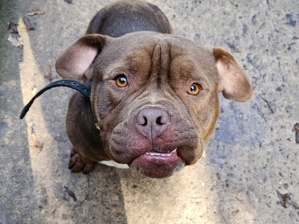 ROCKY (Réservé)