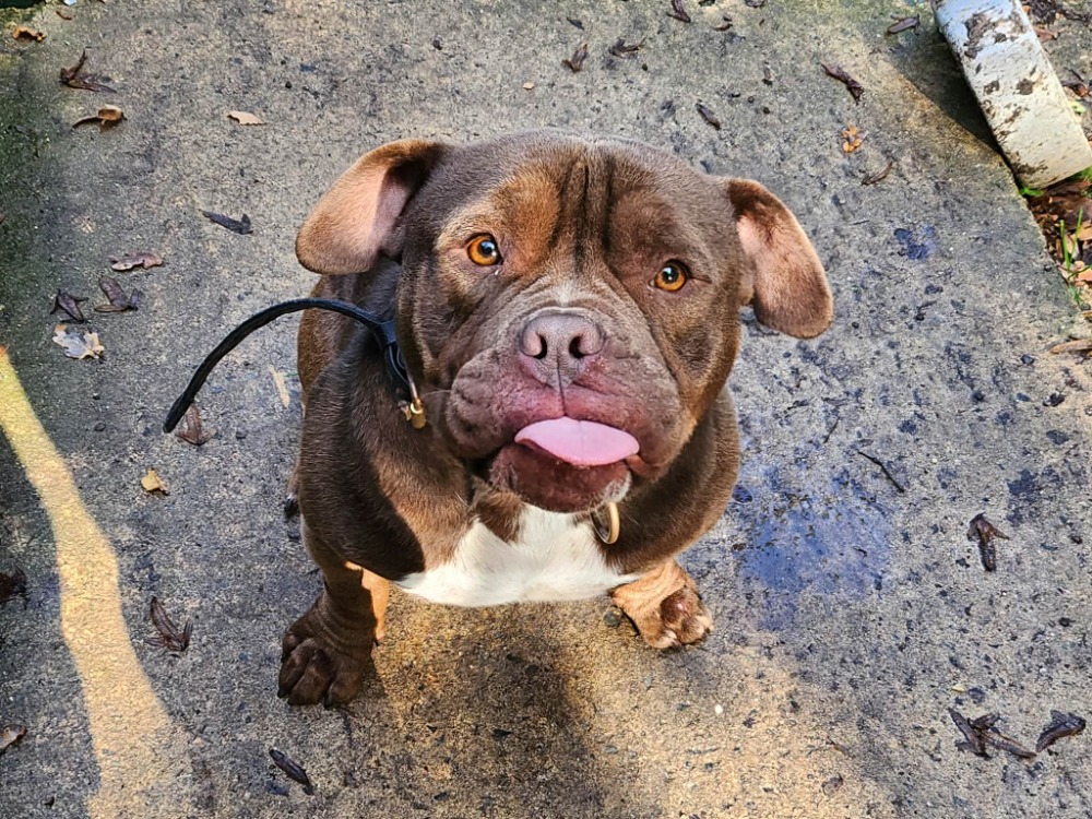 ROCKY (Réservé)