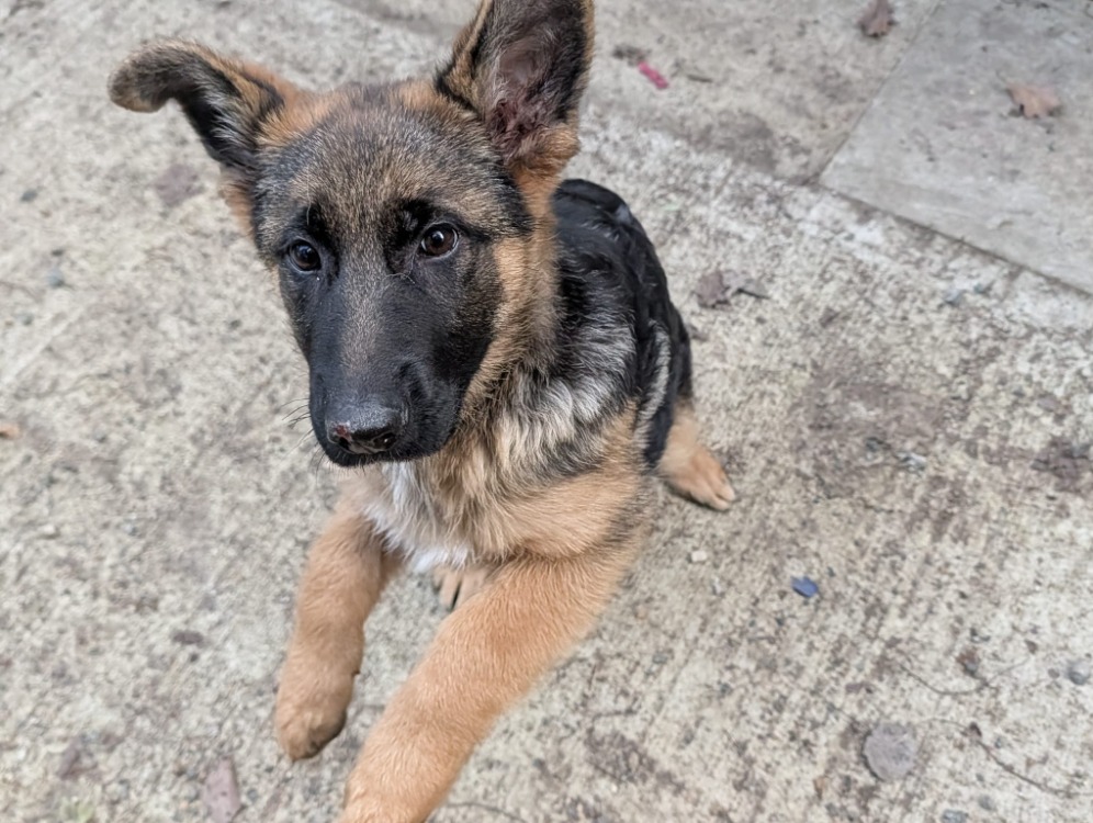 KHANDI