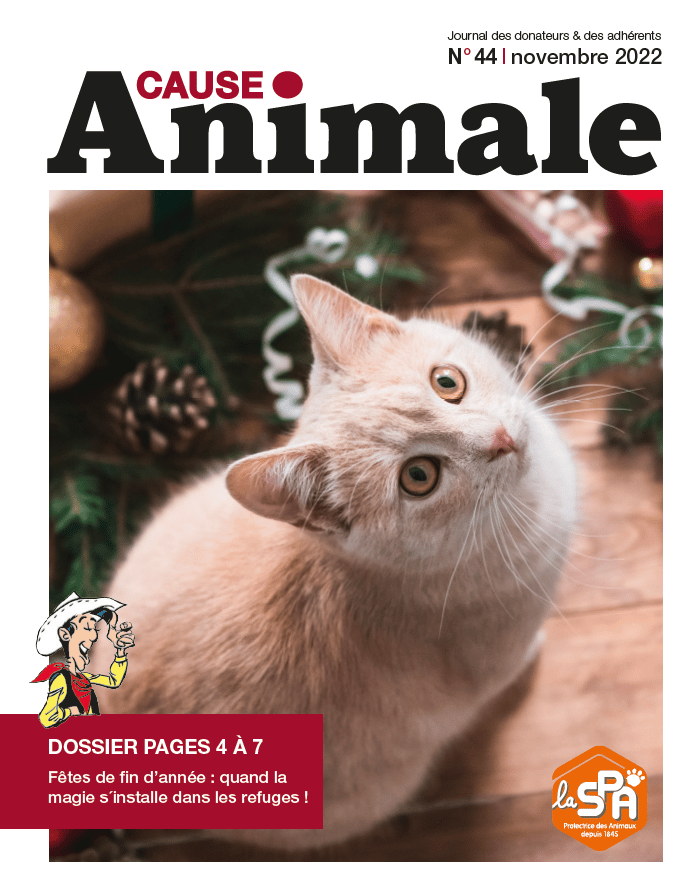 magazine-novembre-2022