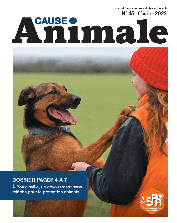 magazine-fevrier-2023