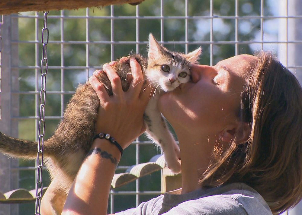 La Société Protectrice des Animaux (SPA) et ses refuges pour animaux