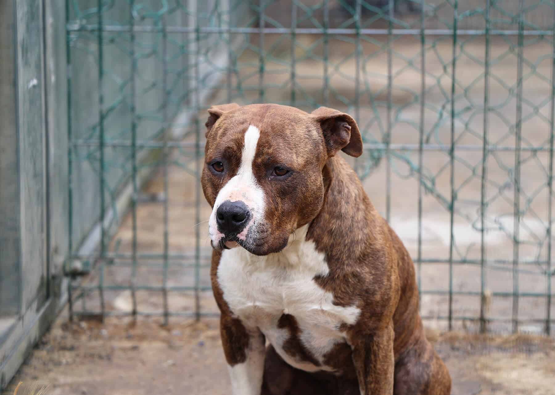Miniblings 3 Collier De Cuisine Cuisine - Bijoux Faits Main Mode I Pendentif Longueur De La Collier: 80 Cm - Fouet Cuillère à Pot