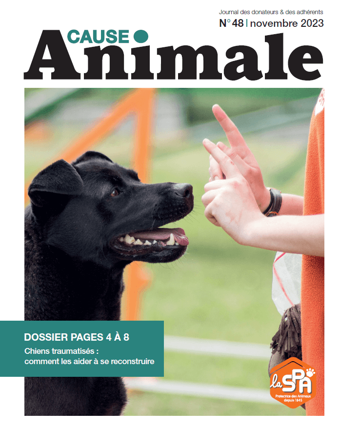 magazine-septembre-2023