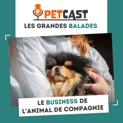 Visuel du Podcast : Les dessous du business de l'animal de compagnie