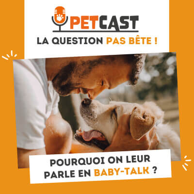 Visuel du Podcast : Pourquoi parle t-on à nos animaux en baby-talk ?
