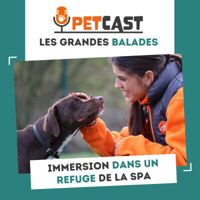 Visuel du Podcast : Une journée dans un refuge SPA
