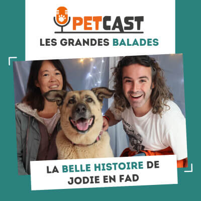 Visuel du Podcast : La belle histoire d'adoption de la chienne Jodie