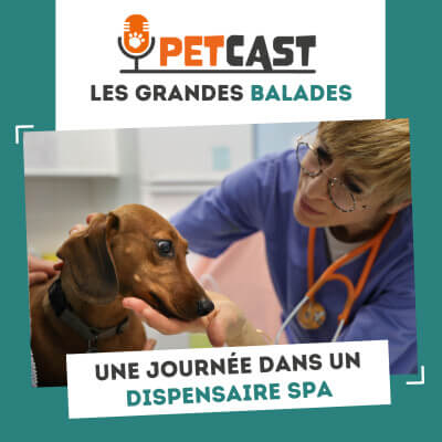 Visuel du Podcast : Une journée dans un dispensaire SPA