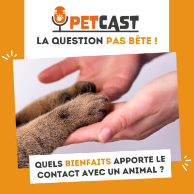 Visuel du Podcast : Quels bienfaits apporte le contact avec un animal ?