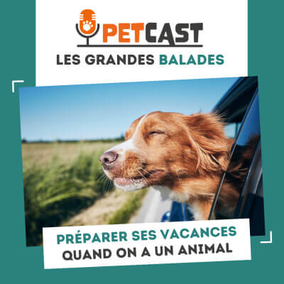 Visuel du Podcast : Préparer ses vacances quand on a un animal