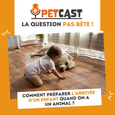 Visuel du Podcast : Comment préparer l'arrivée d'un enfant dans un foyer avec un animal ?