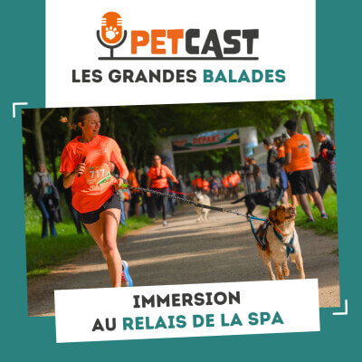 Visuel du Podcast :