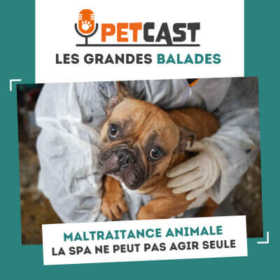 Visuel du Podcast : Maltraitance animale : pourquoi la SPA ne peut pas agir seule ?