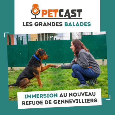 Visuel du Podcast : Immersion au cœur du nouveau refuge de la SPA de Gennevilliers