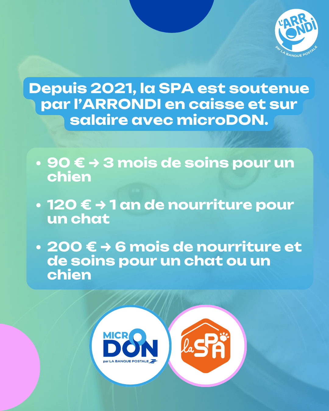 Microdon x la SPA